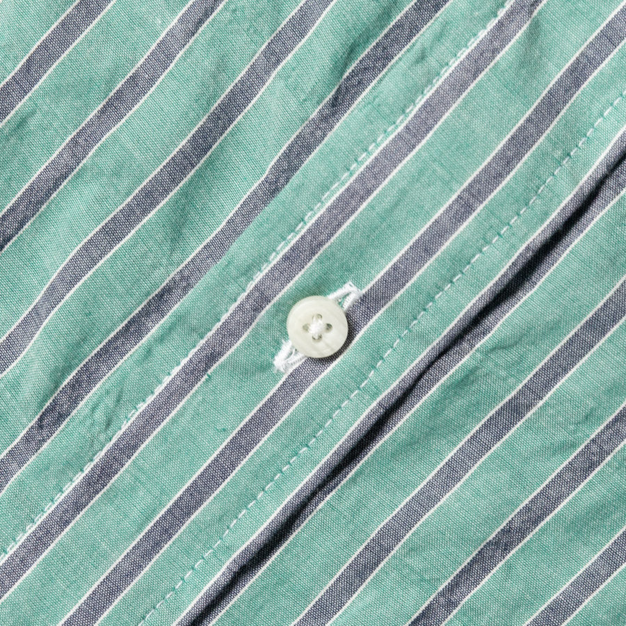 Awning Stripe in Green