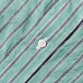 Awning Stripe in Green