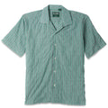 Awning Stripe in Green