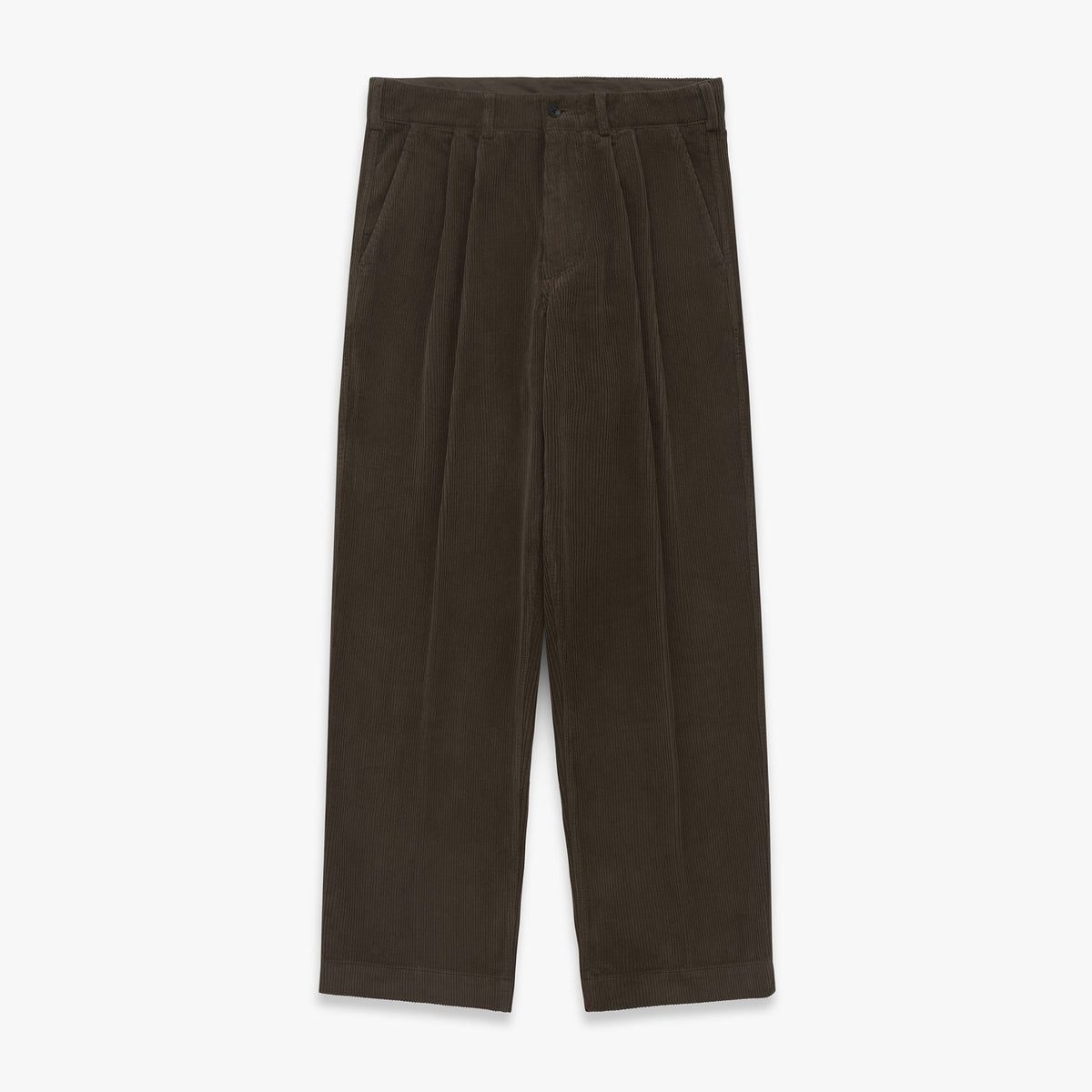 Canal Pleated Corduroy Cotton Pant in Coffee