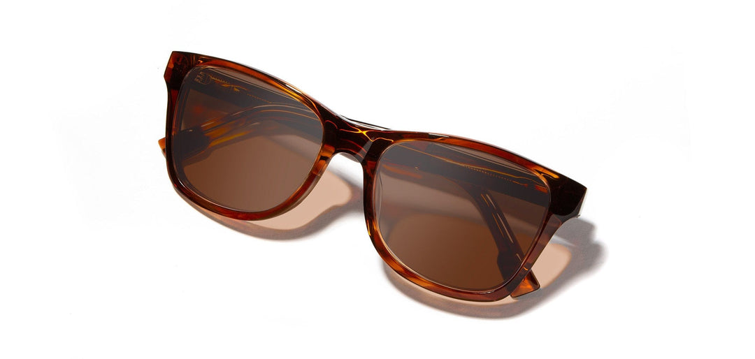 Canby XL in Bourbon, Elm Burl & Brown Polarized