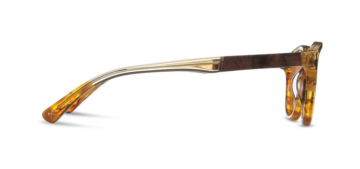 Francis in Canyon Elm Burl & Brown Polarized