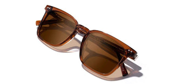 Hamilton in Rust & Brown Polarized