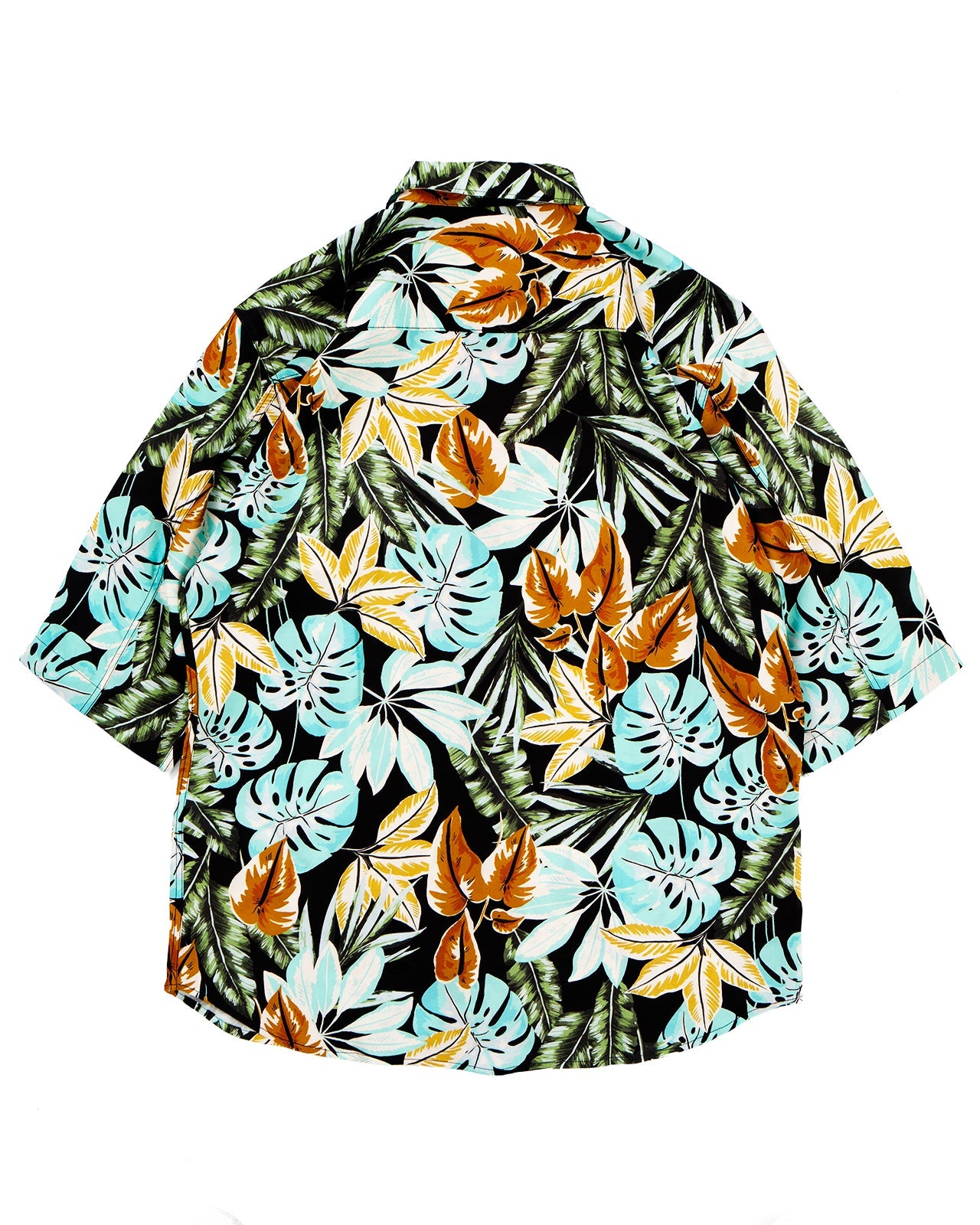 Delray in Hawaii Print