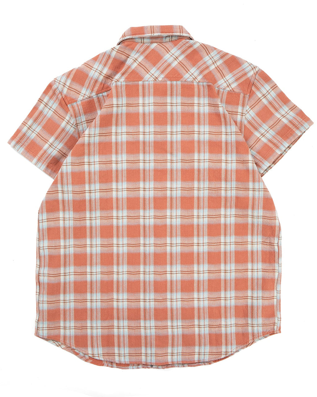 Bruce in Flannel Blue and Red Check
