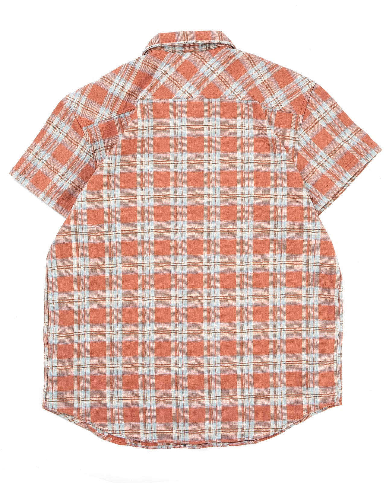 Bruce in Flannel Blue and Red Check