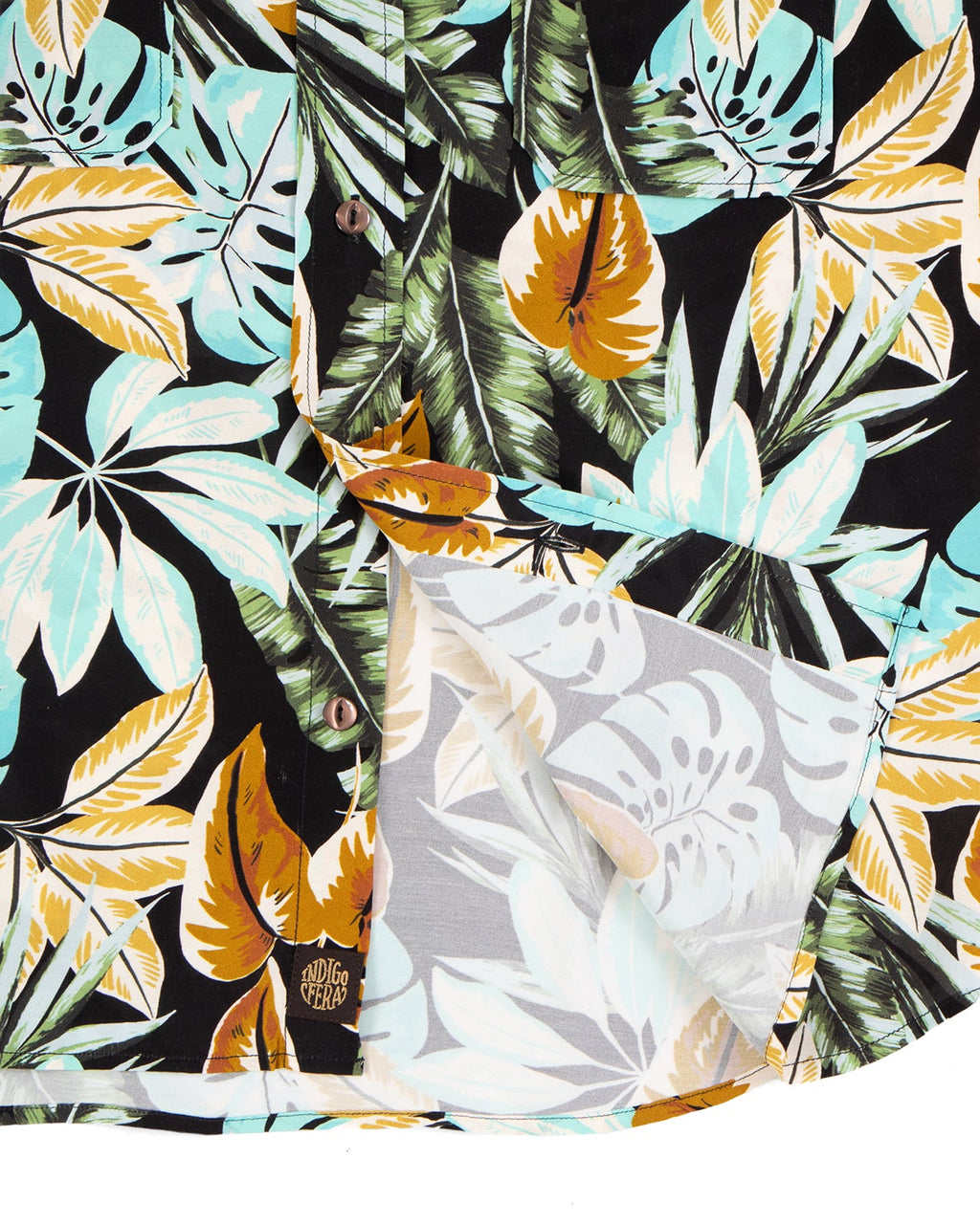 Delray in Hawaii Print
