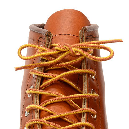 Taslan Boot Laces in Tan & Gold