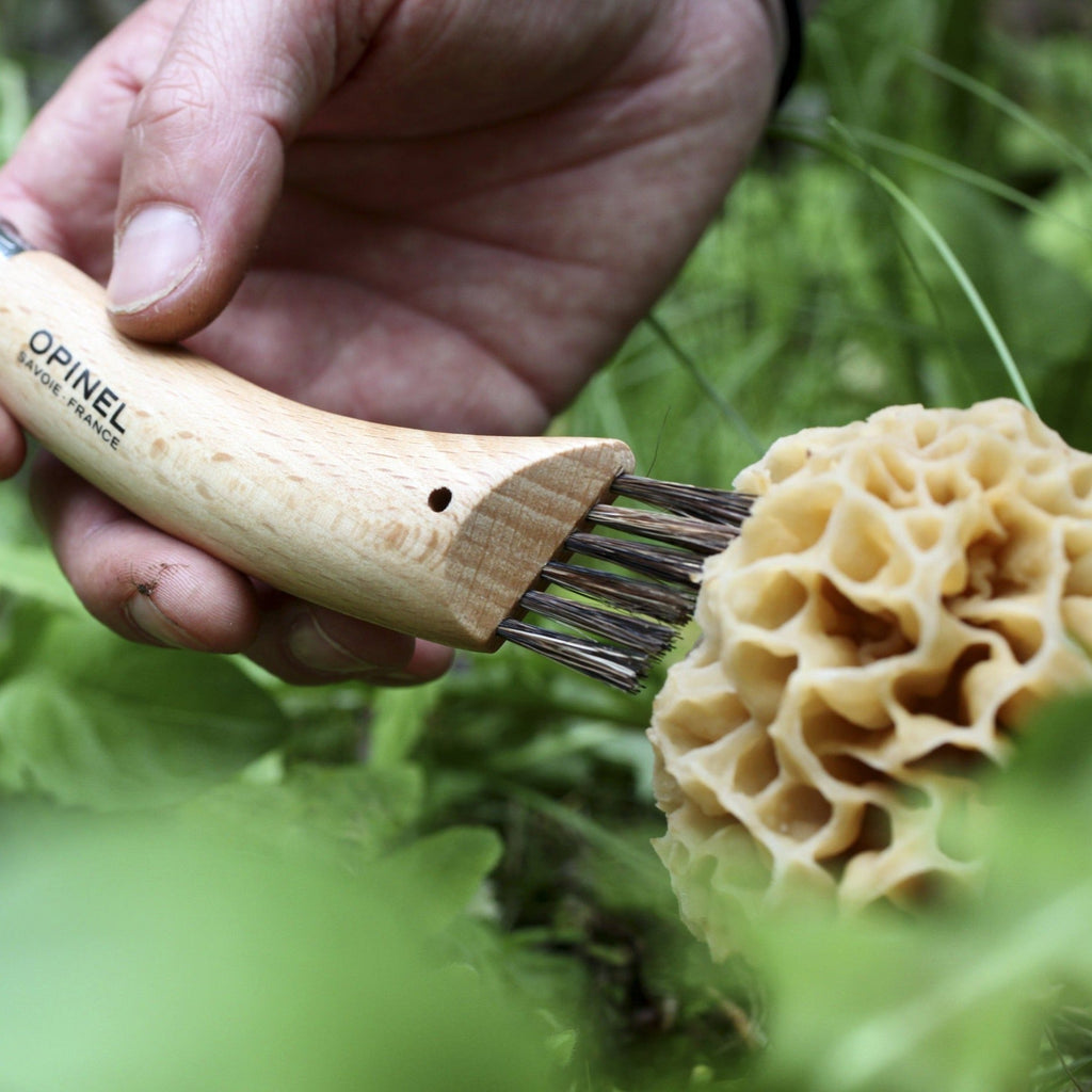 No.08 Mushroom Knife