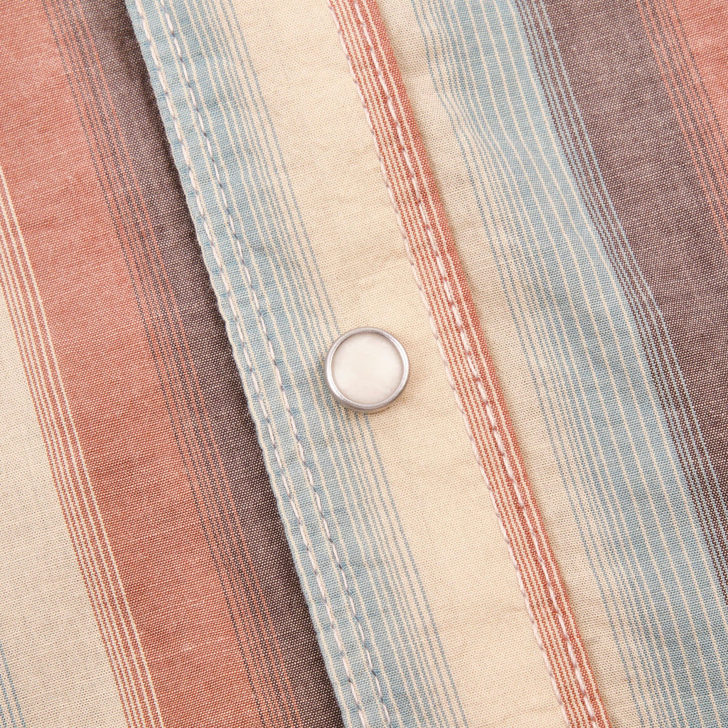 Calico in Desert Stripes