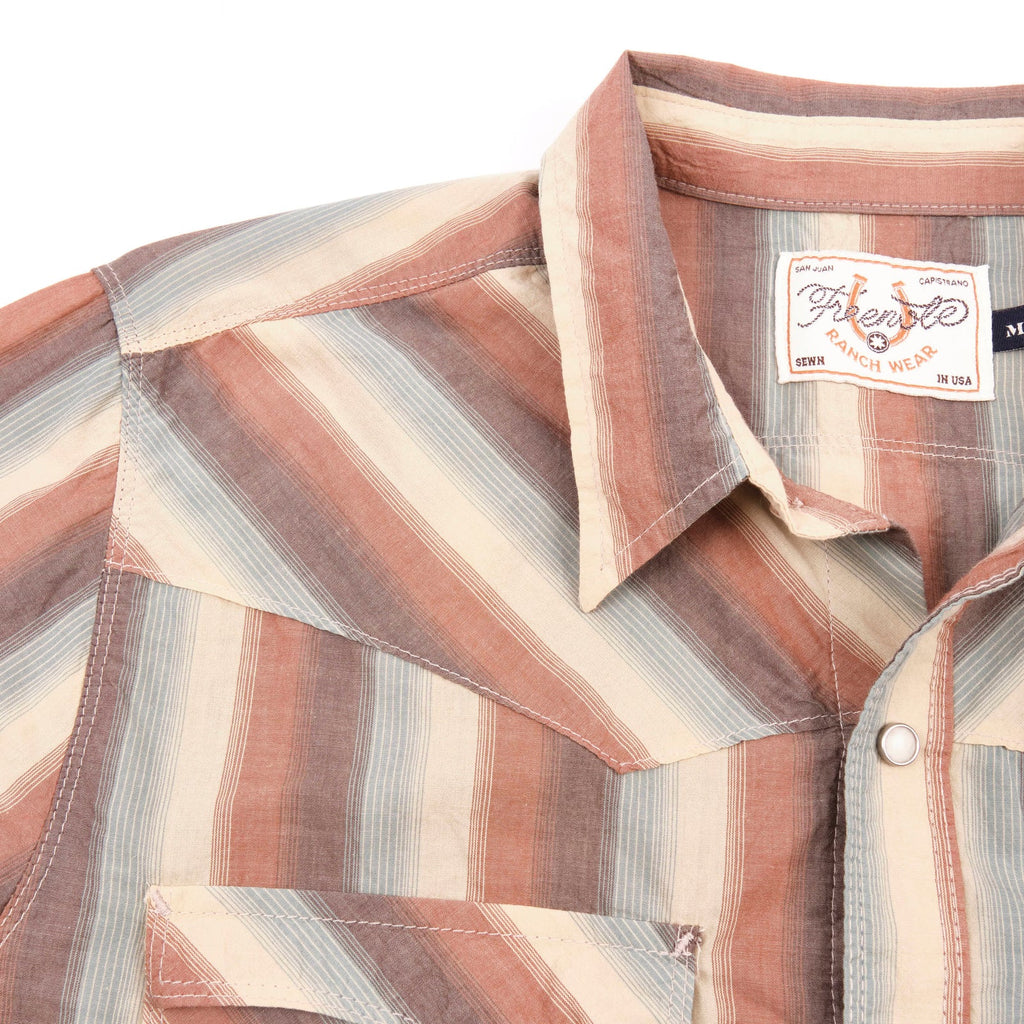 Calico in Desert Stripes