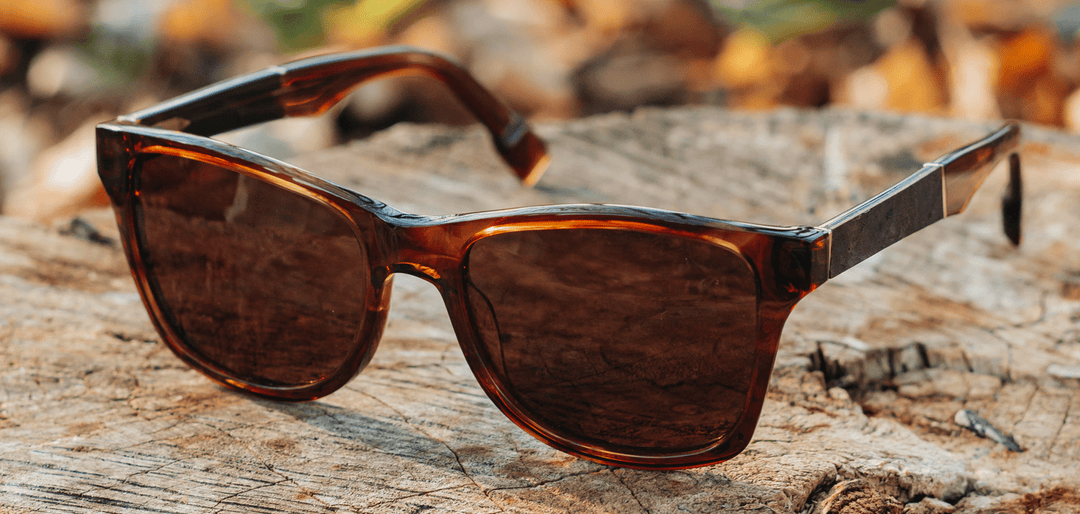Canby XL in Bourbon, Elm Burl & Brown Polarized