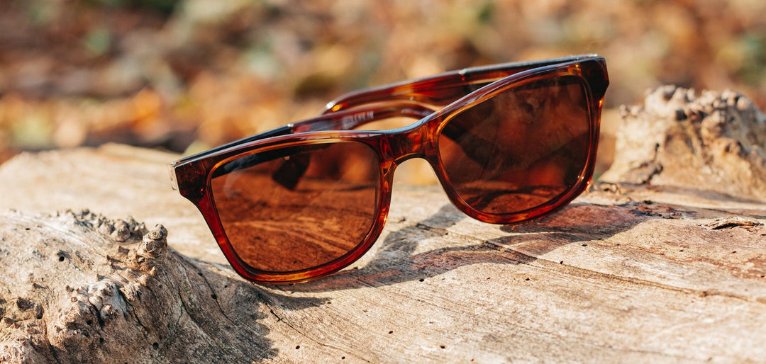 Canby XL in Bourbon, Elm Burl & Brown Polarized
