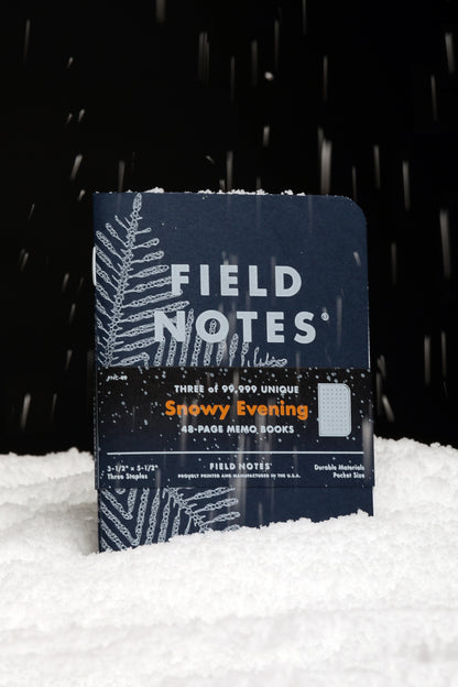 Snowy Evening Memo Book, 3-Pack